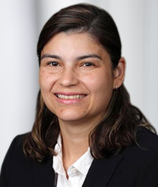 Dr. Negri Brito.jpg